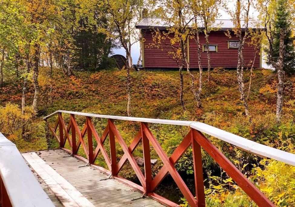 Cosy In North-norway, Nearby Senja. *