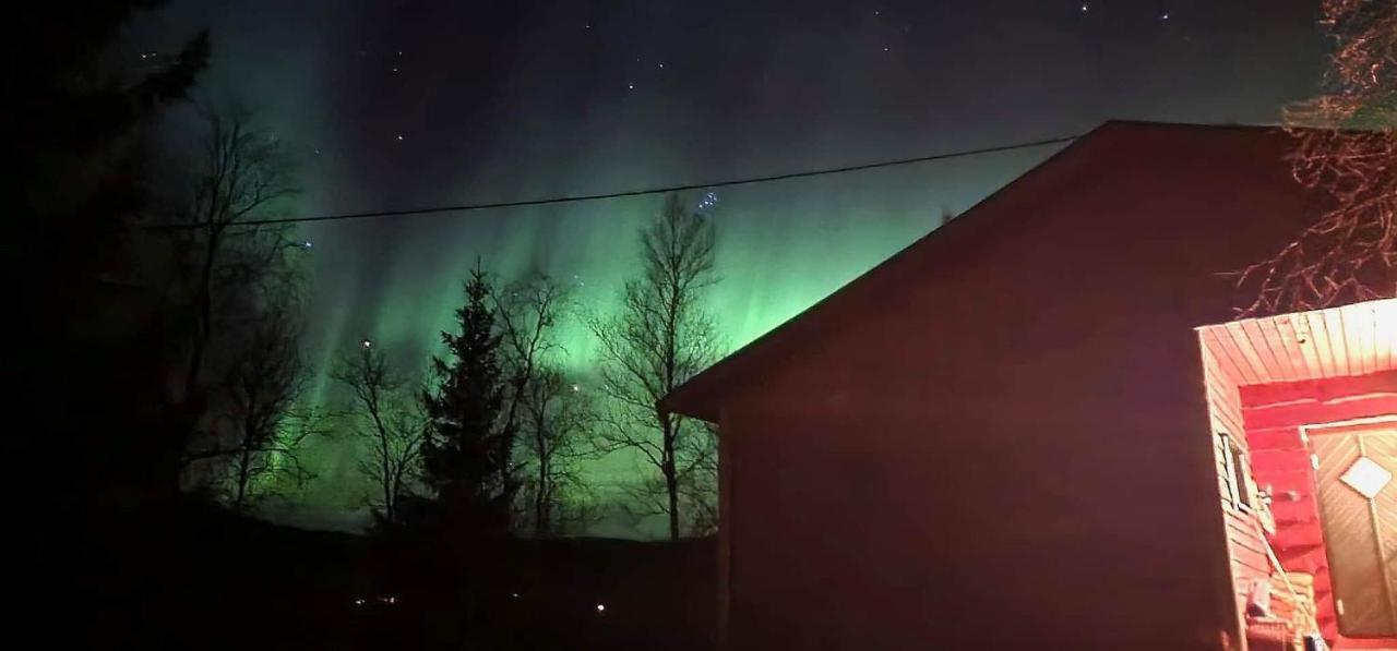 Cosy In North-norway, Nearby Senja. * Sorreisa