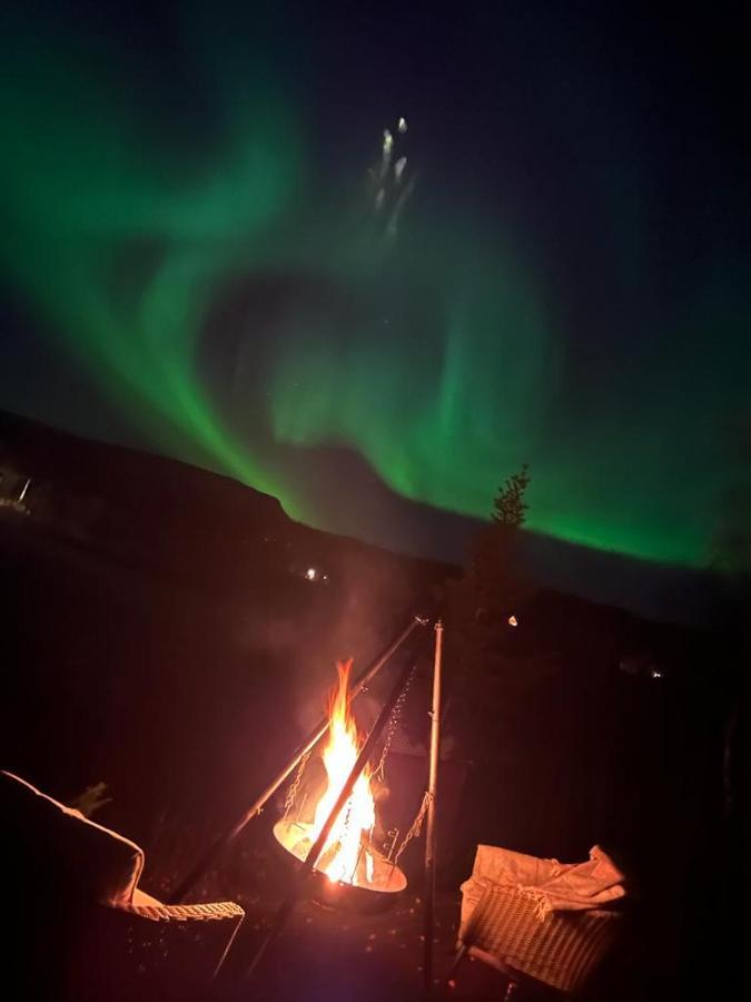 Cosy In North-norway, Nearby Senja. *
