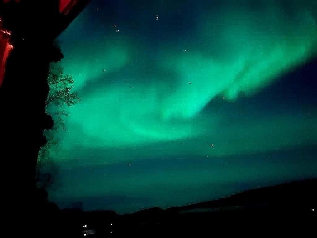 Apartment Cosy In North-norway, Nearby Senja.
