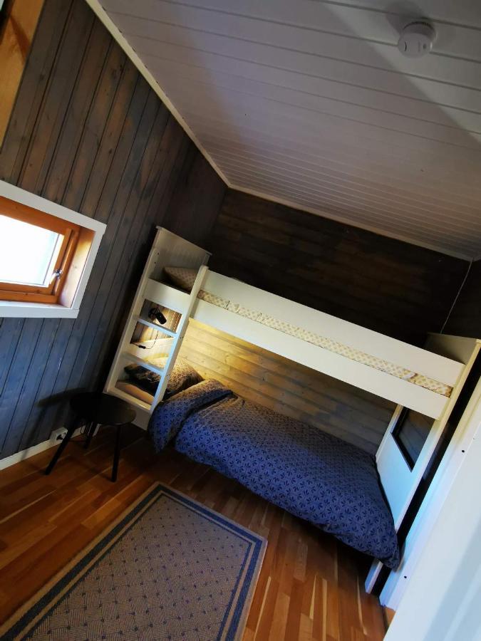 Cosy In North-norway, Nearby Senja. *