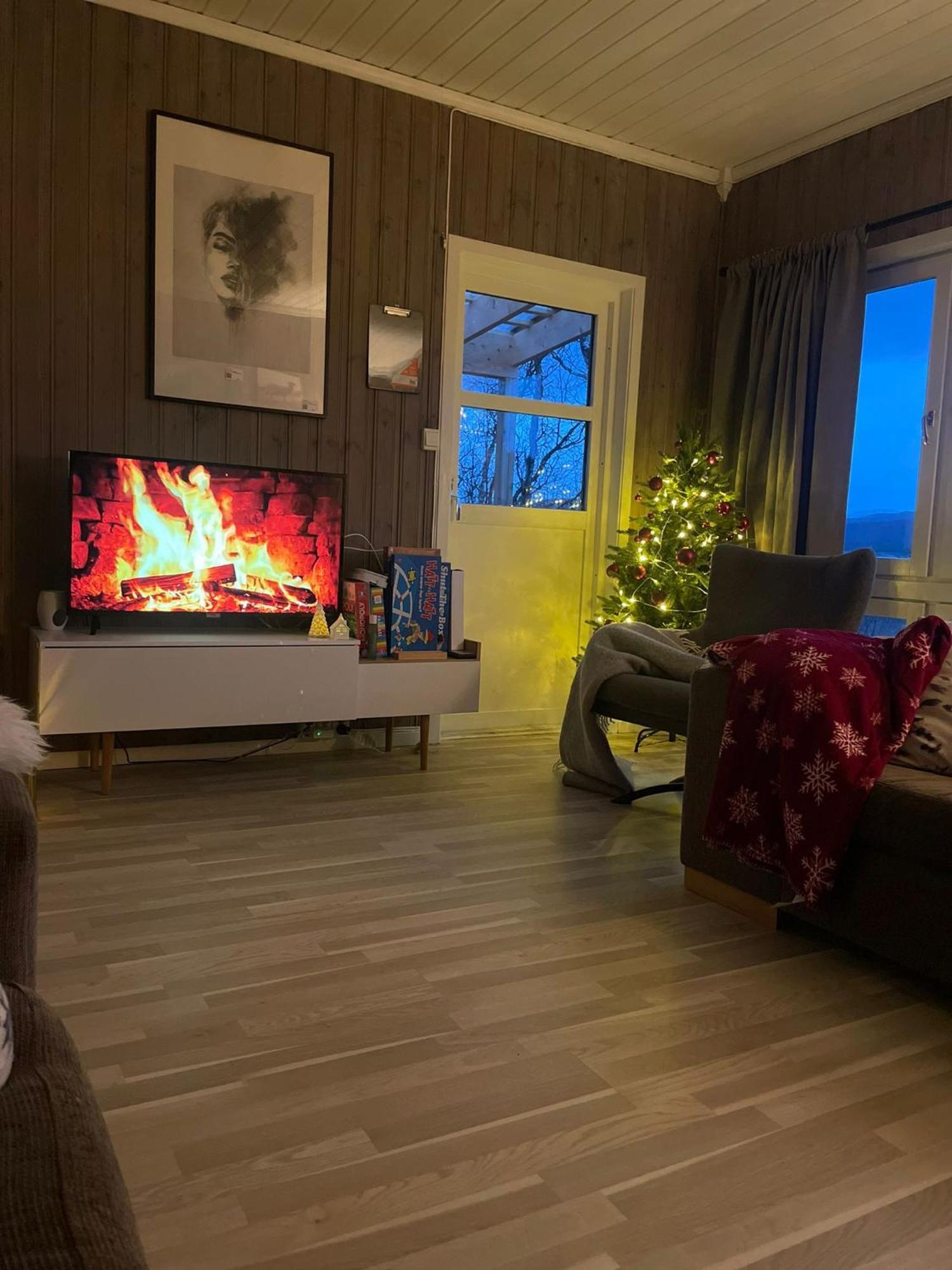 Cosy In North-norway, Nearby Senja.